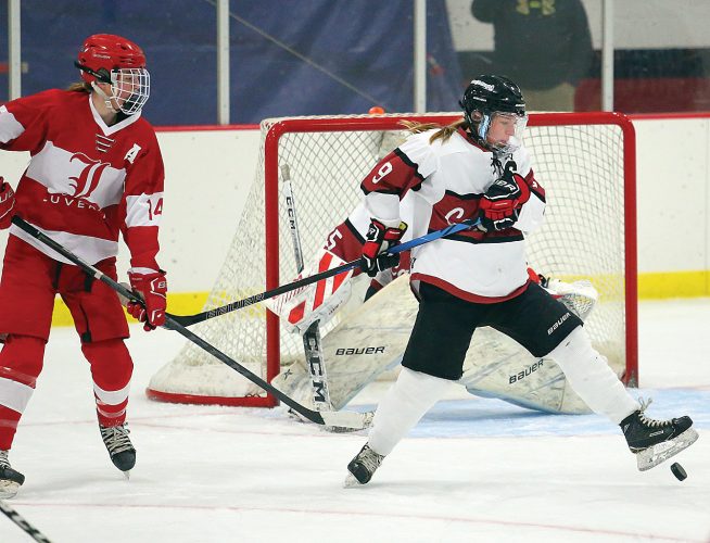 Luverne sweeps hockey series from Fairmont Area News, Sports, Jobs